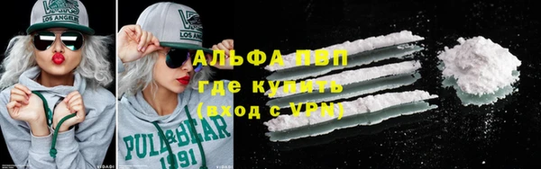 шишки Абаза