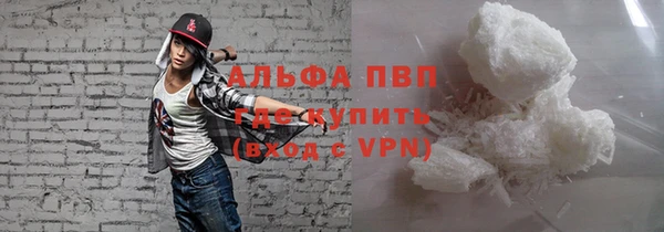 шишки Абаза