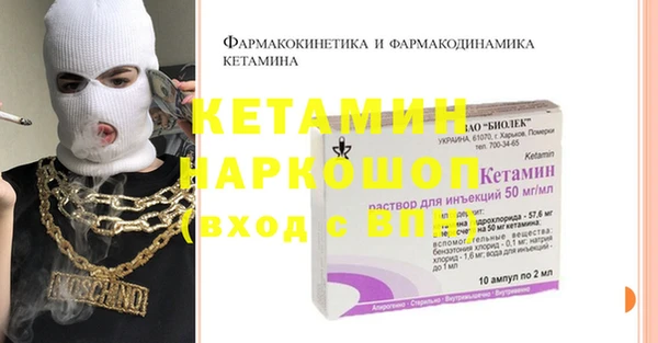 шишки Абаза