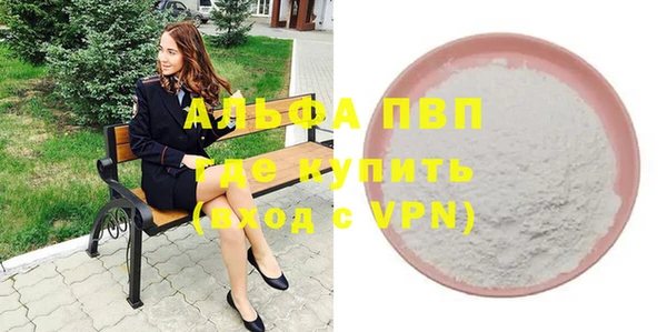 шишки Абаза