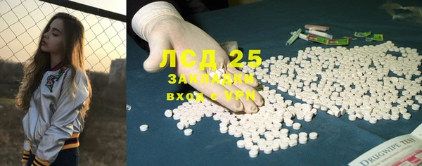 шишки Абаза