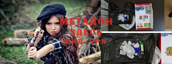 шишки Абаза
