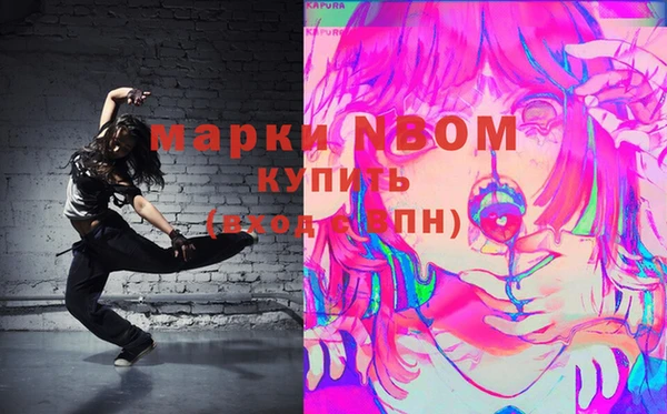 шишки Абаза
