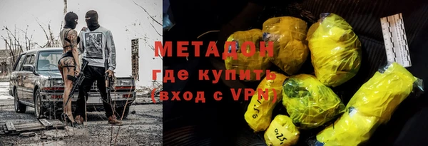 шишки Абаза