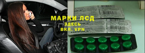 шишки Абаза