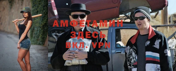 шишки Абаза