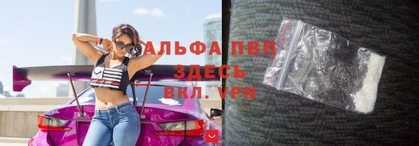 шишки Абаза